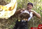 قدرت نمایی مرد هندی با استفاده از زنبور