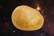 محیا شدن امکان کشت سیب زمینی در مریخ