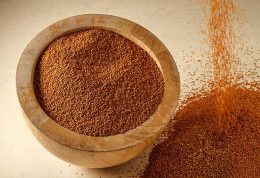 7 فایده طلایی مصرف خاکشیر برای حفظ سلامتی