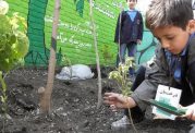راه اندازی مدرسه طبیعت در ایران