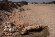 مرگ 100 نفر به علت گرسنگی در کشور سومالی