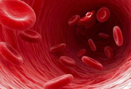 رابطه کولین و افزایش لخته شدن خون