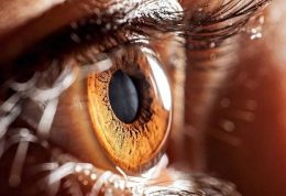 آیا معاینه چشم میتواند مشکل گردش خون در پا را به ما نشان دهد؟