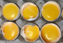 ایده های جالب برای شکل دادن به تخم مرغ خام