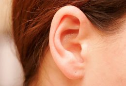 گوش سالم چگونه عمل می کند؟