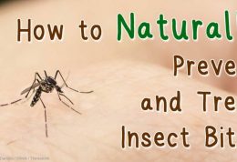 مقابله با گزش حشرات موذی در طبیعت