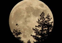 تاثیر حضور ماه کامل بر خواب انسان