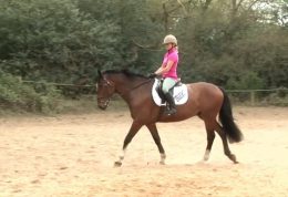 اسب سواری و افزایش توانایی مغزی کودکان