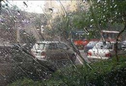 روز طبیعت بارانی در تهران