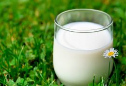 رد شایعه استفاده از پالم در شیر و لبنیات