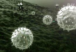 دانستنی هایی درباره بیماری ویروسی اوریون