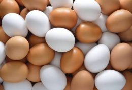 استفاده از تخم مرغ مایع پاستوریزه در مواد غذایی