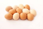 فواید مصرف تخم مرغ برای بدن