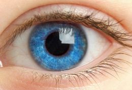 معرفی 6 ماده مغذی که سبب تقویت چشمان شما می شود