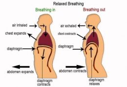 اهمیت تنفس عمیق برای بدن