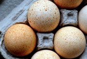 مزایای مصرف تخم مرغ برای بدن