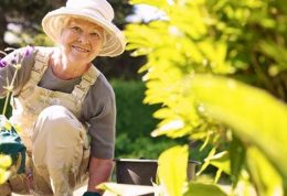 مزایای درختکاری برای افراد سالمند
