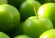 حساسیت به گوجه سبز