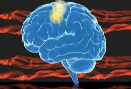 کمک به تولید فروکتوز توسط مغز انسان