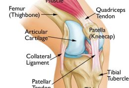 از بیماری نرمی کشکک زانو چه میدانید؟