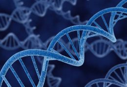 آیا DNA می‌تواند تغذیه مناسب برای یک فرد را نشان دهد؟