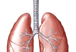روشی جدید برای درمان شایع ترین بدخیمی ریوی