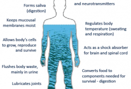 نقش مهم آب برای سلامتی بدن