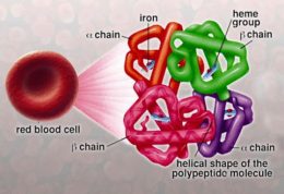 یافته های پزشکی جدید در مورد تالاسمی