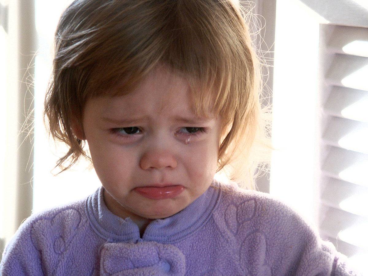 کاهش استرس با گریه کردن فواید گریه کردن فایده گریه کردن کودکان عوارض مهار گریه کردن افزایش سلامتی بدن با گریه کردن کاهش استرس با گریه کردن فواید گریه کردن فایده گریه کردن کودکان عوارض مهار گریه کردن افزایش سلامتی بدن با گریه کردن کاهش استرس با گریه کردن فواید گریه کردن فایده گریه کردن کودکان عوارض مهار گریه کردن افزایش سلامتی بدن با گریه کردن کاهش استرس با گریه کردن فواید گریه کردن فایده گریه کردن کودکان عوارض مهار گریه کردن افزایش سلامتی بدن با گریه کردن 