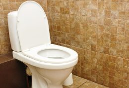 استفاده از توالت فرنگی در دراز‌مدت چه عوارضی دارد؟