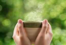 چای سبز یک متخصص خانگی برای حفظ سلامت شما