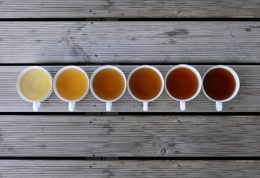 استفاده از چای سبز را ترجیح می دهید یا چای سیاه؟