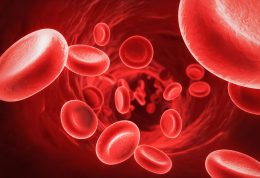 افزایش سطح پلاکت های خون