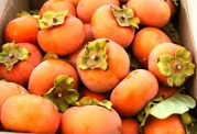 درمان بیماری های فصل پاییز با میوه های پاییزی