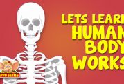 اهمیت افزایش سلامت استخوان ها