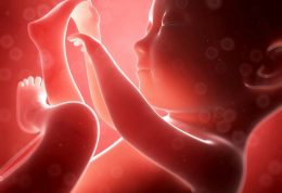 تغییرات بدن مادر و جنین در ماه های آخر بارداری