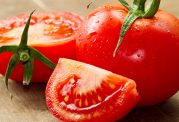 تولید گوجه فرنگی ضد پیری با اصلاح ژنتیکی