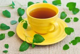 بی خوابی را با چای بادرنجبویه درمان کنید