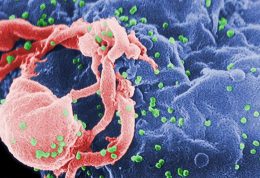 علائم ابولا و روش های درمان آن