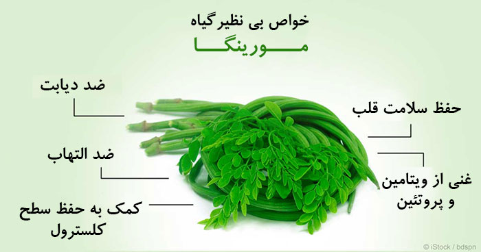 گیاهان دارویی,گیاه دارویی,خواص گیاهان دارویی