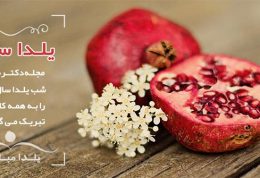 یلدا سلام | جشن یلدای امسال با دکتر سلام 1396