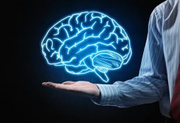 بهترین روش ها برای محافظت از مغز
