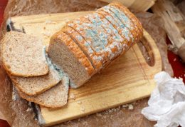 مصرف نان کپک زده موجب ابتلا به سرطان می شود