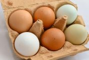 آشنایی با مواد غذایی جایگزین تخم مرغ