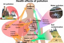 آلودگی هوا زمینه ایجاد بیماریهای عفونی را فراهم میکند