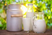 کاهش خطر عوارض بارداری با مصرف شیر پروبیوتیک