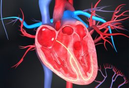 امراض قلبی و عروقی سلامت بانوان را تهدید میکند