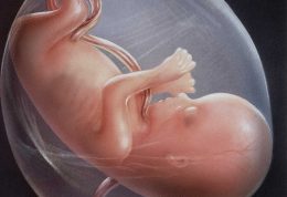 ناهنجاری‌های جنین را چگونه تشخیص دهیم