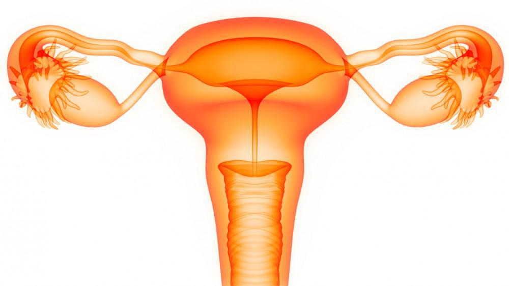 transfer ivf Deep vaginal trobbing after