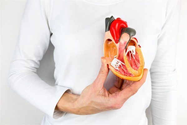 دکتر سپیده پزشکی: تمام نکاتی که درباره سلامت قلب باید بدانید